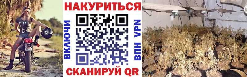 Бошки марихуана Amnesia где продают Мамоново